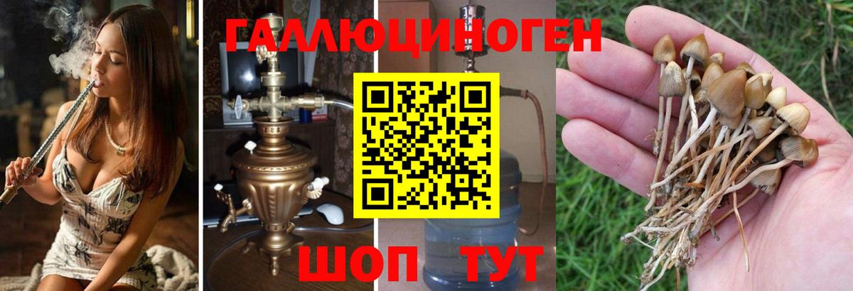 ГАШ Горячий Ключ