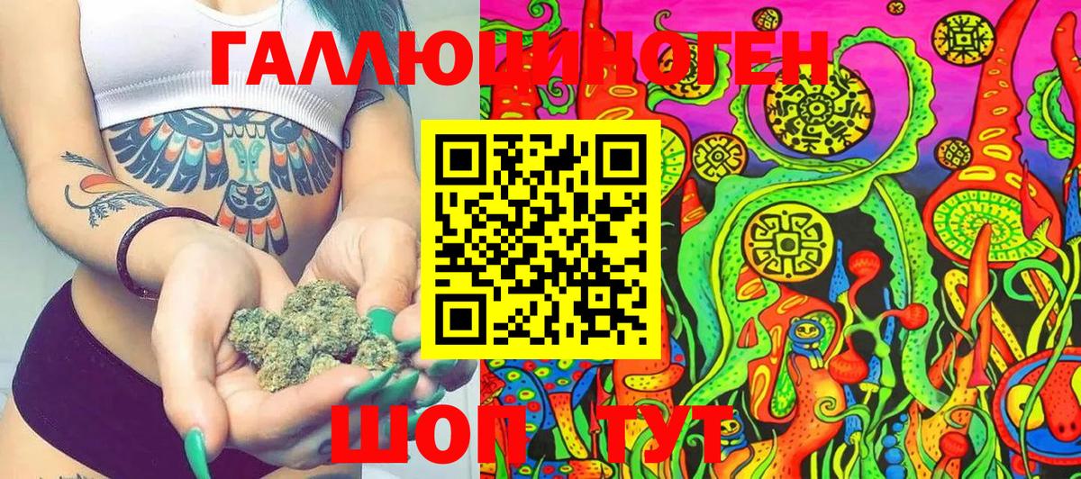 Горячий Ключ  Псилоцибиновые грибы Cubensis  Вход с VPN 